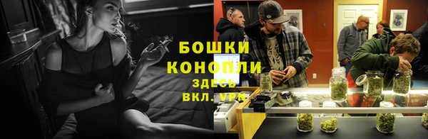 стафф Армянск
