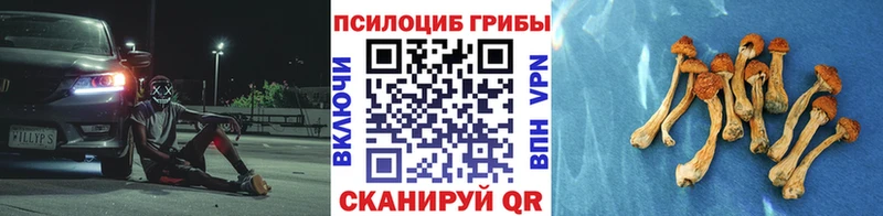 Купить  Куровское  Галлюциногенные грибы MAGIC MUSHROOMS 